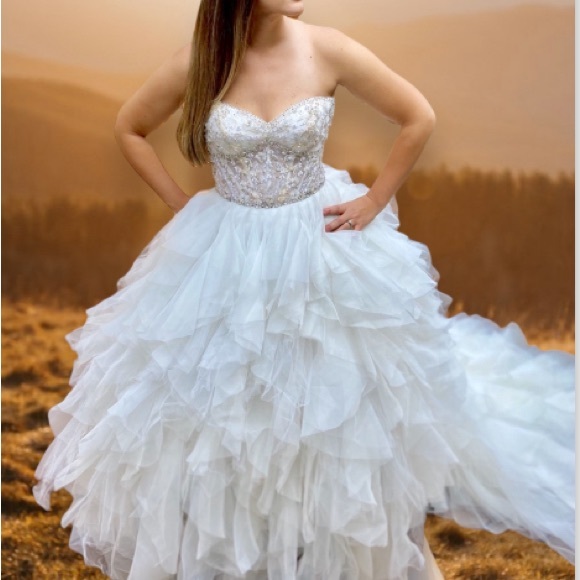 Randy Fenoli Angelina Ball Gown Wedding Dress 10 - Picture 2 of 15